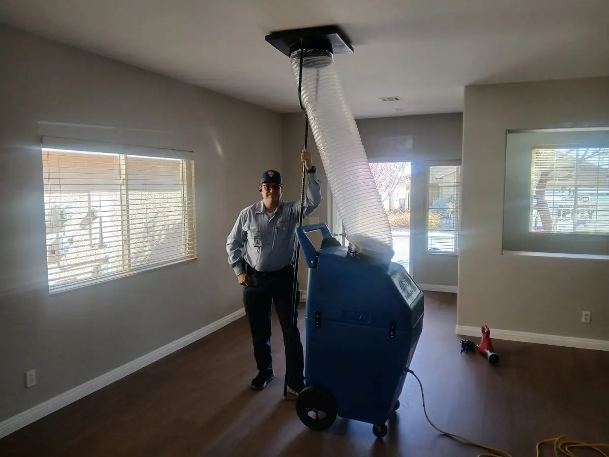 Professional Dryer Vent Cleaning work inside a Hermantown home